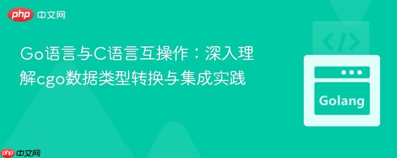 Go语言与C语言互操作:深入理解cgo数据类型转换与集成实践