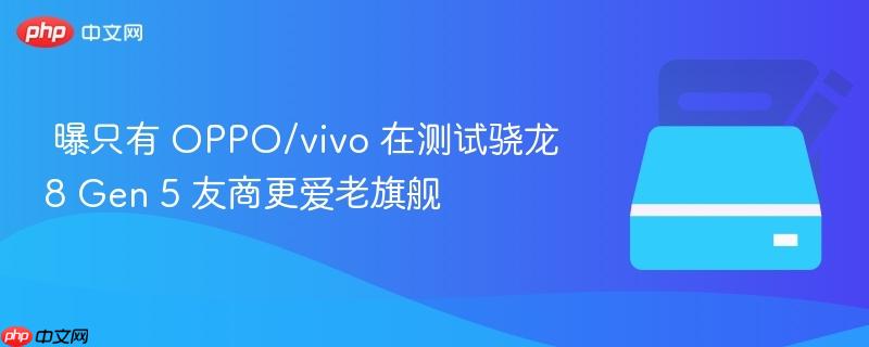 曝只有 oppo/vivo 在测试骁龙 8 gen 5 友商更爱老旗舰