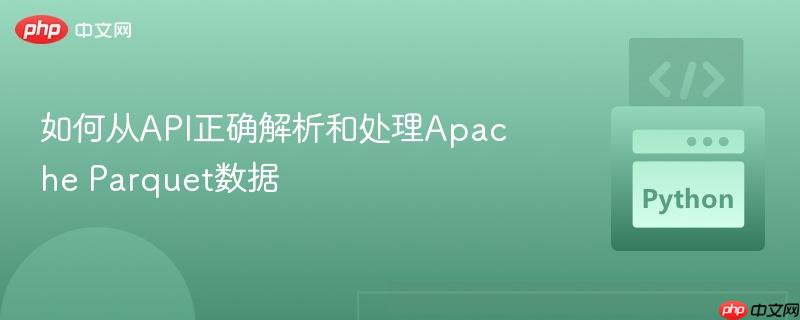 如何从API正确解析和处理Apache Parquet数据