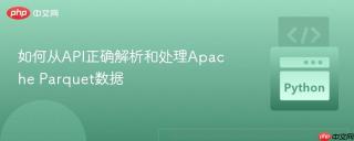 如何从API正确解析和处理Apache Parquet数据