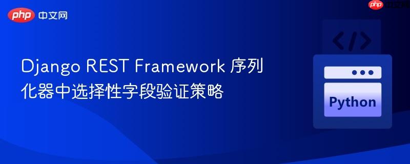 Django REST Framework 序列化器中选择性字段验证策略