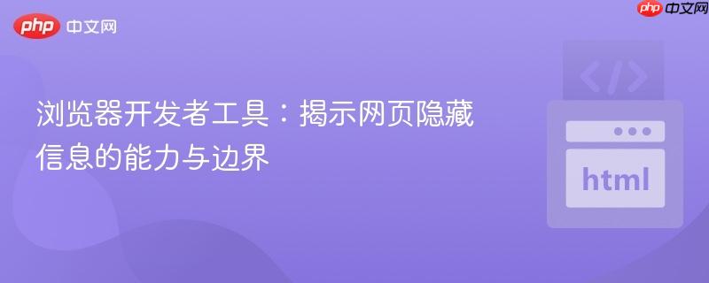 浏览器开发者工具：揭示网页隐藏信息的能力与边界