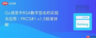 go语言中rsa数字签名的实现与应用:pkcs#1 v1.5标准详解
