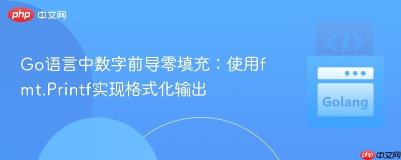 go语言中数字前导零填充:使用fmt.printf实现格式化输出