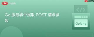 Go 服务器中提取 POST 请求参数
