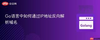 Go语言中如何通过IP地址反向解析域名