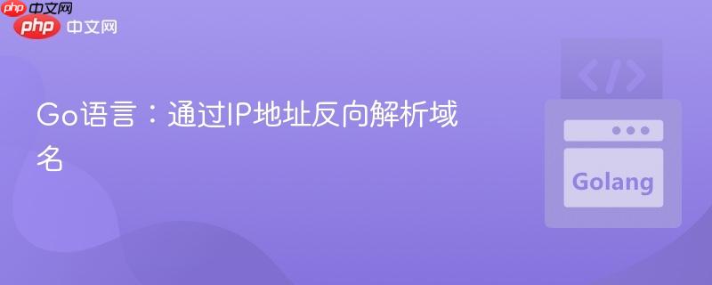 Go语言：通过IP地址反向解析域名