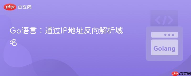 Go语言：通过IP地址反向解析域名

