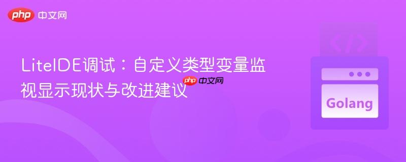 LiteIDE调试：自定义类型变量监视显示现状与改进建议
