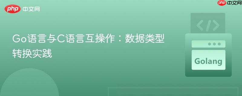 Go语言与C语言互操作:数据类型转换实践