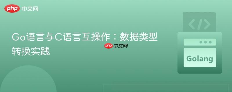 Go语言与C语言互操作：数据类型转换实践
