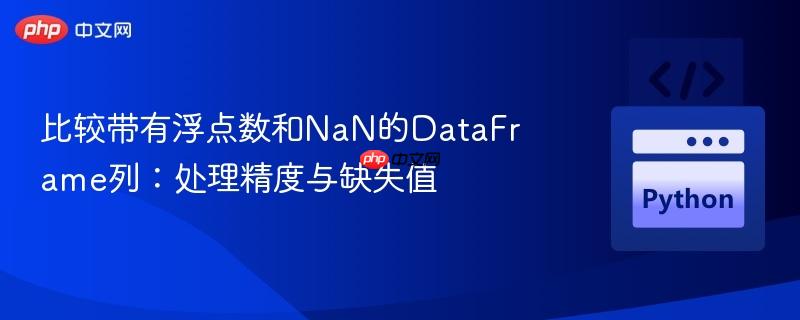 比较带有浮点数和NaN的DataFrame列:处理精度与缺失值