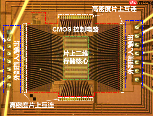 全球首颗！复旦团队成功研发二维-硅基混合架构闪存芯片