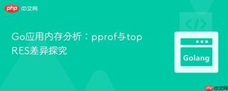Go应用内存分析：pprof与top RES差异探究