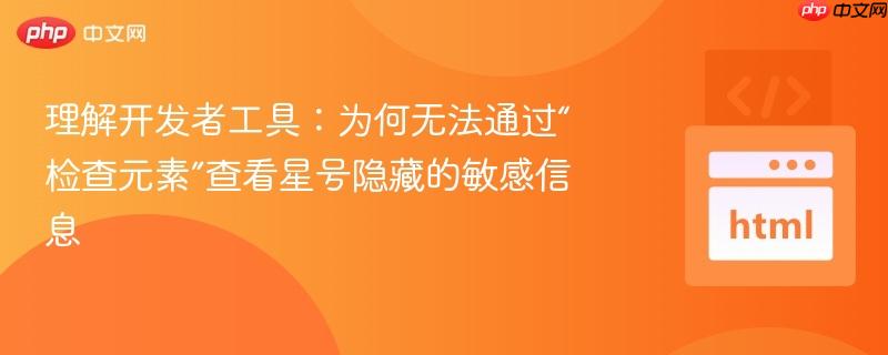理解开发者工具:为何无法通过“检查元素”查看星号隐藏的敏感信息