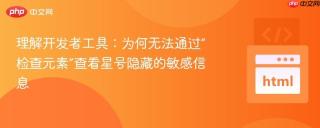 理解开发者工具：为何无法通过“检查元素”查看星号隐藏的敏感信息
