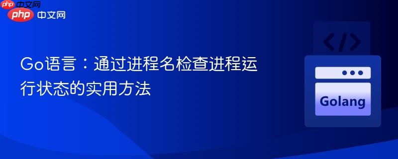 Go语言:通过进程名检查进程运行状态的实用方法