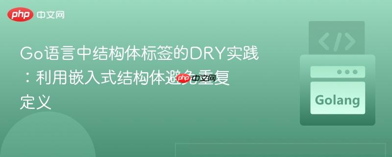 Go语言中结构体标签的DRY实践:利用嵌入式结构体避免重复定义