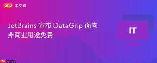 JetBrains 宣布 DataGrip 面向非商业用途免费