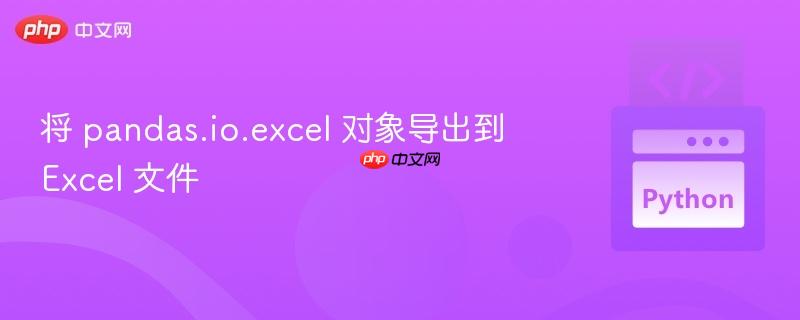 将 pandas.io.excel 对象导出到 excel 文件