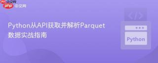 Python从API获取并解析Parquet数据实战指南