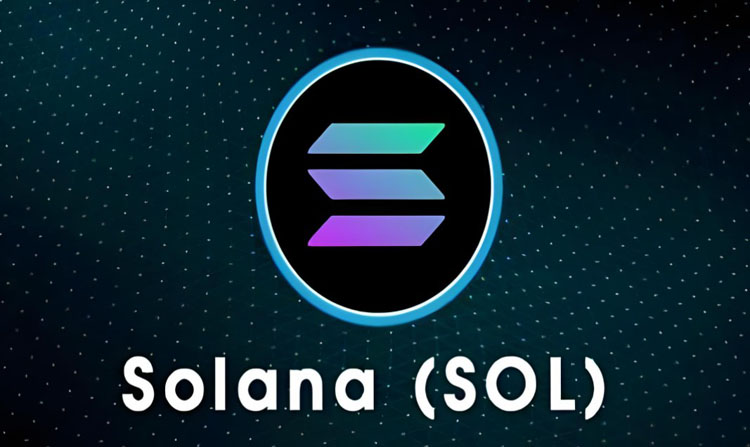 Token 2049圆桌会议 索拉纳币（Sol）的金库押注：从资产负债表到生态飞轮