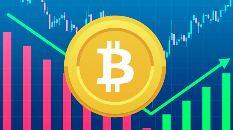 一文详细了解为何比特币昨天暴涨？大型鲸鱼投资者持续购BTC