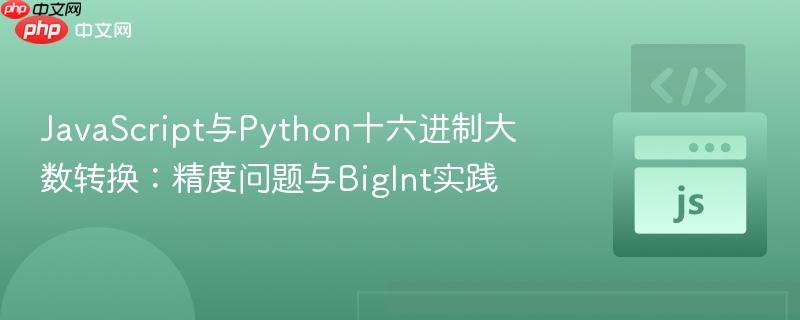 JavaScript与Python十六进制大数转换:精度问题与BigInt实践