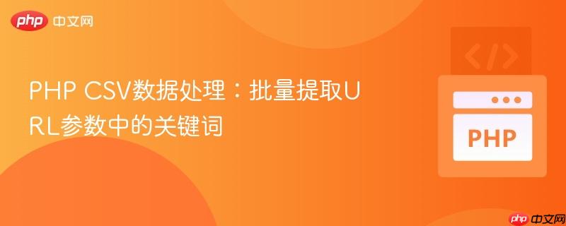 PHP CSV数据处理：批量提取URL参数中的关键词