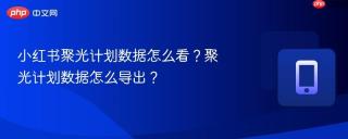 小红书聚光计划数据怎么看？聚光计划数据怎么导出？