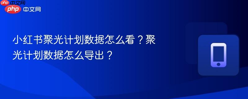 小红书聚光计划数据怎么看？聚光计划数据怎么导出？