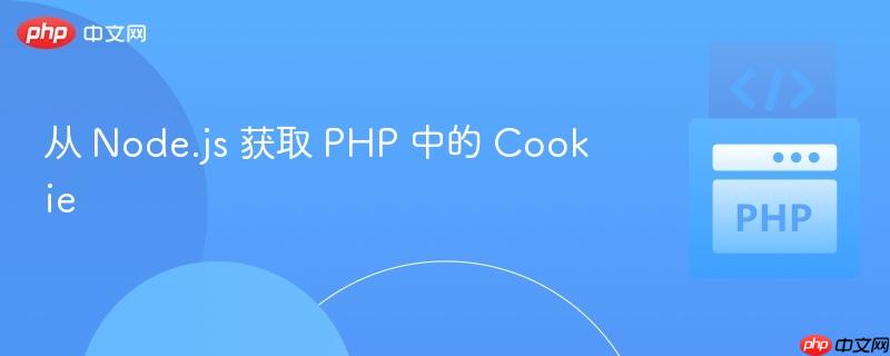 从 node.js 获取 php 中的 cookie