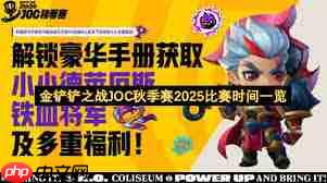 火石记牌器不显示记牌器怎么办