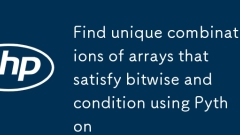 使用 Python 查找滿足按位和條件的數組唯一組合