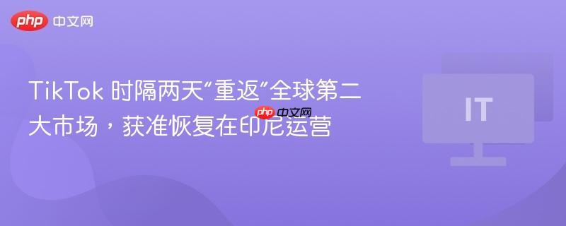 TikTok 时隔两天“重返”全球第二大市场，获准恢复在印尼运营