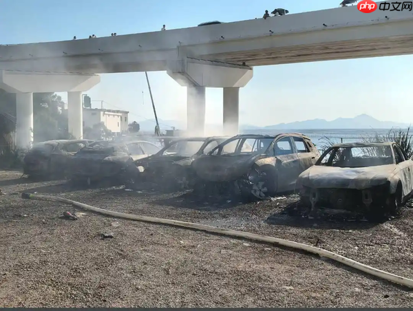 阿维塔回应06火灾事件：排除电池、电机等故障原因