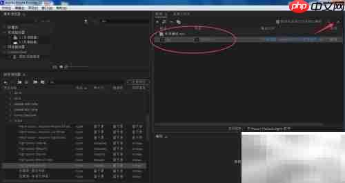Encoder视频转码全攻略
