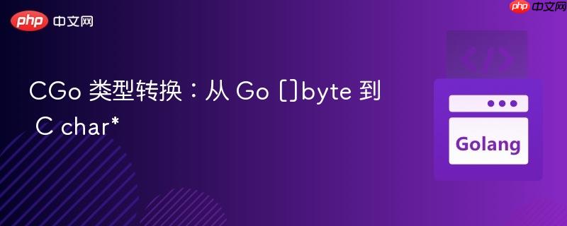 CGo 类型转换：从 Go []byte 到 C char*