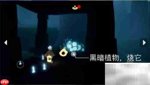 光遇3.2每日任务速通指南