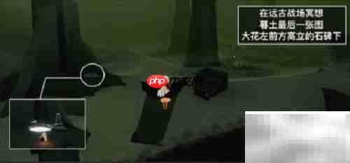 光遇3.2每日任务速通指南