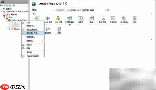 Windows Server 2012 FTP根目录发布