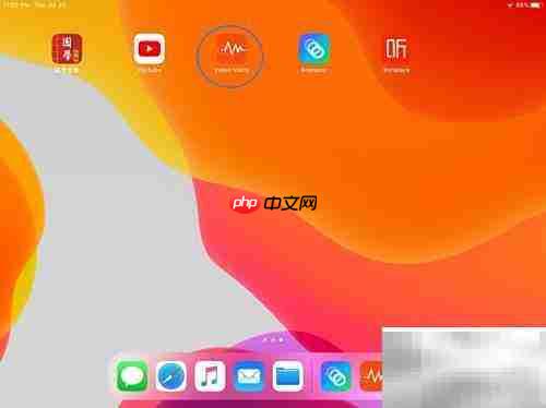 video voice软件使用指南