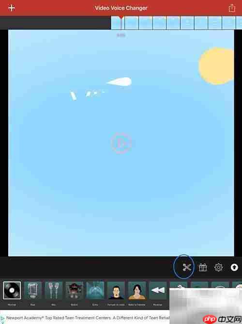 Video Voice软件使用指南