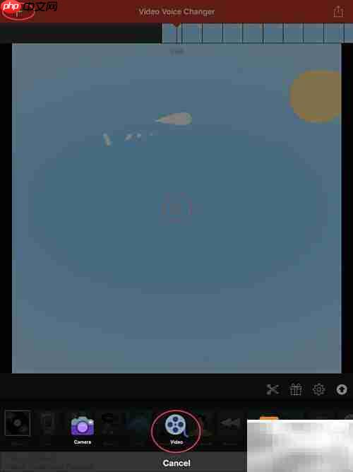 Video Voice软件使用指南