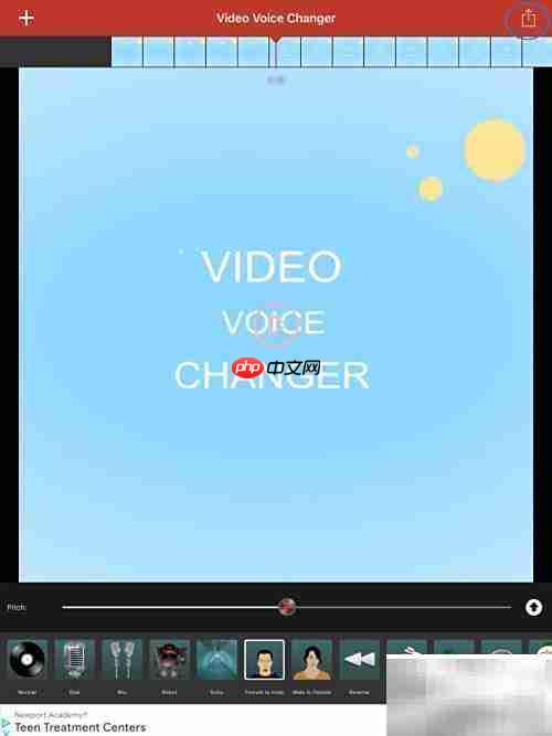 Video Voice软件使用指南