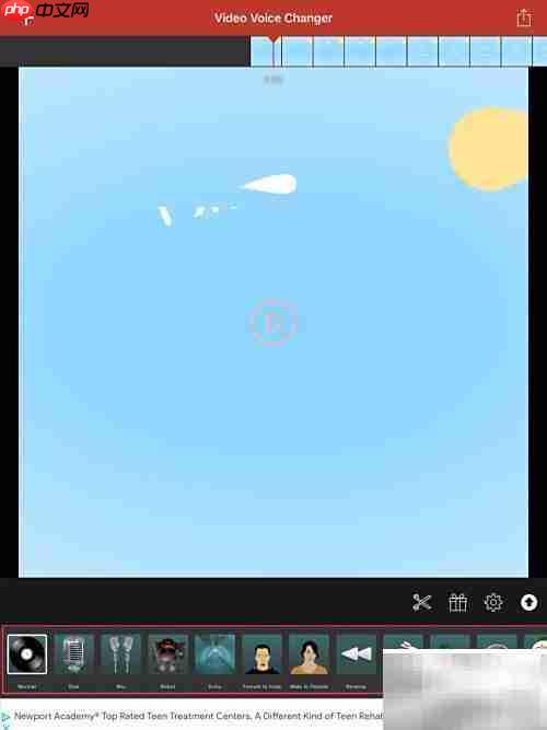 Video Voice软件使用指南
