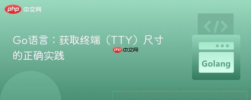 Go语言：获取终端（TTY）尺寸的正确实践