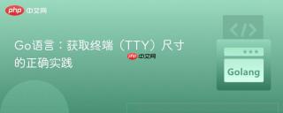 Go语言：获取终端（TTY）尺寸的正确实践