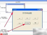 VB字符串函数使用技巧