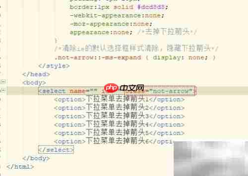 去除select默认样式及下拉箭头